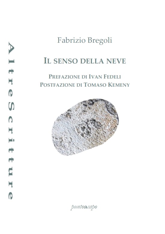 Il senso della neve - Fabrizio Bregoli