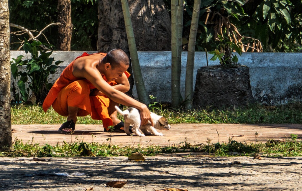 Laos - Gioco al Tempio