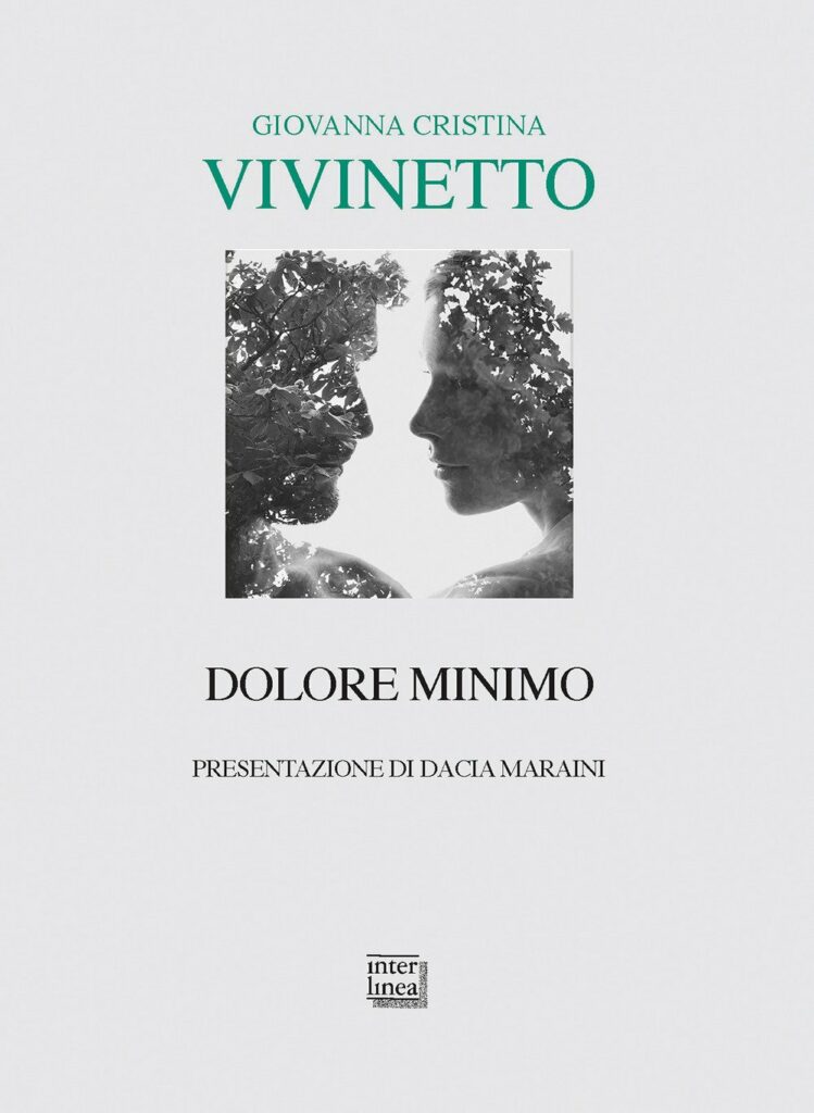 Dolore minimo - Giovanna Cristina Vivinetto