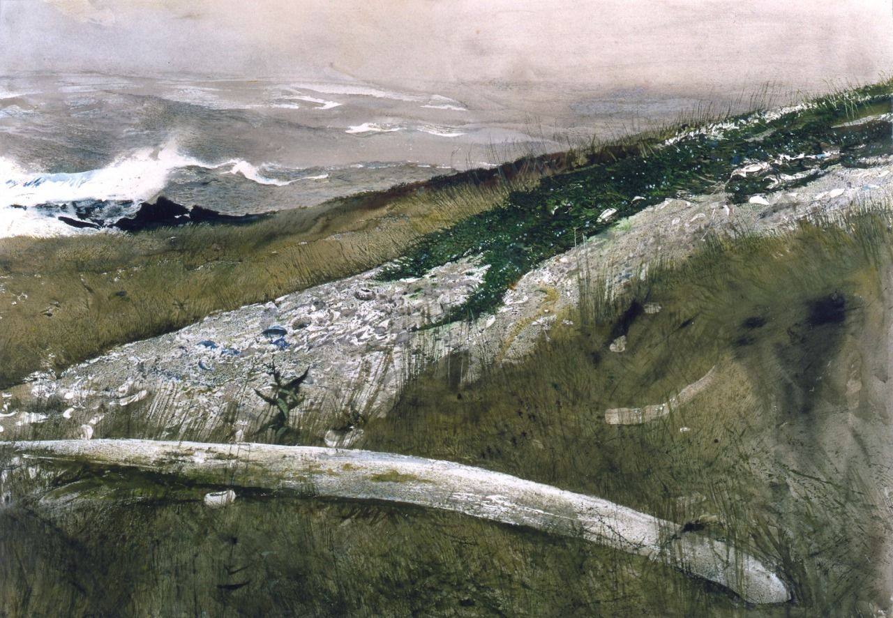 IL VELIERO CANNIBALE 4 - BRENT E LA BALENA E WILLIAM BLAKE
