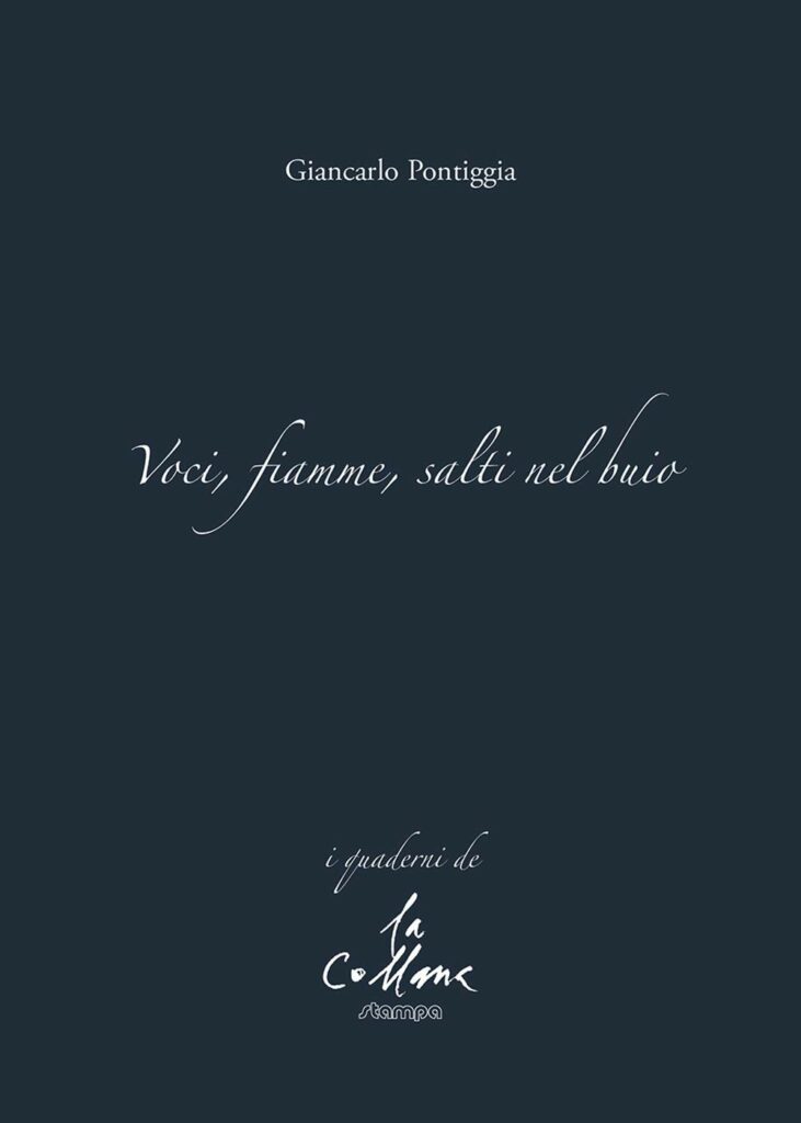 Voci, fiamme, salti nel buio - Giancarlo Pontiggia