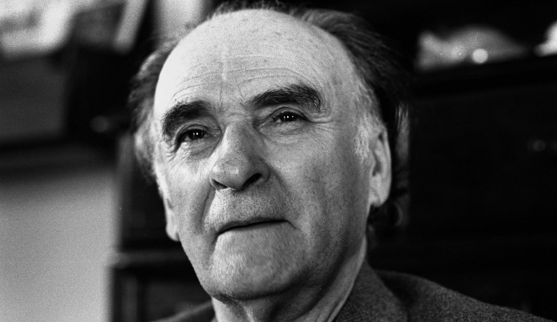 I maestri: Andrea Zanzotto
