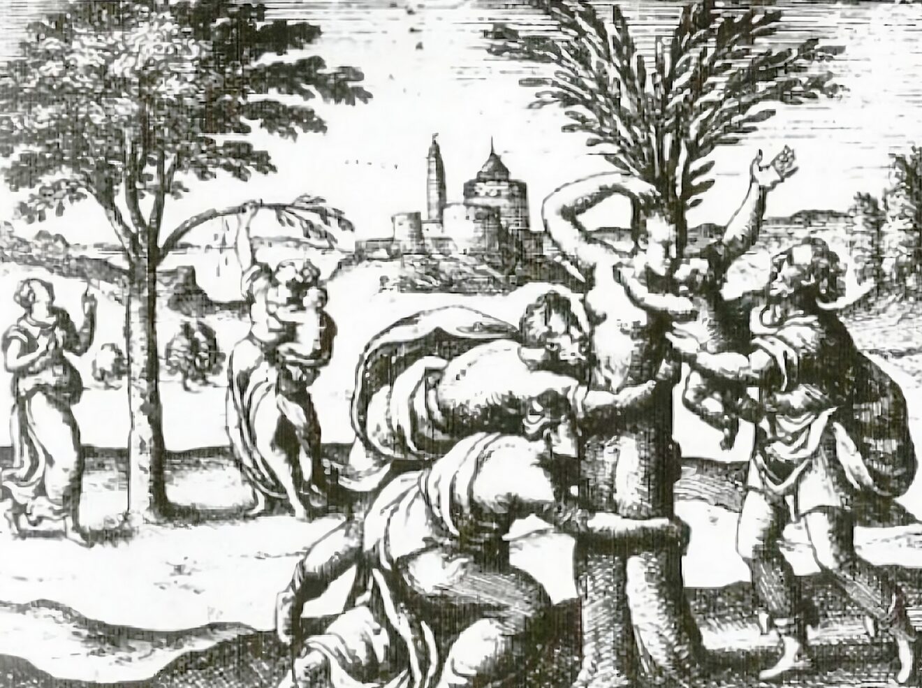 Siamo tutti figli di una quercia